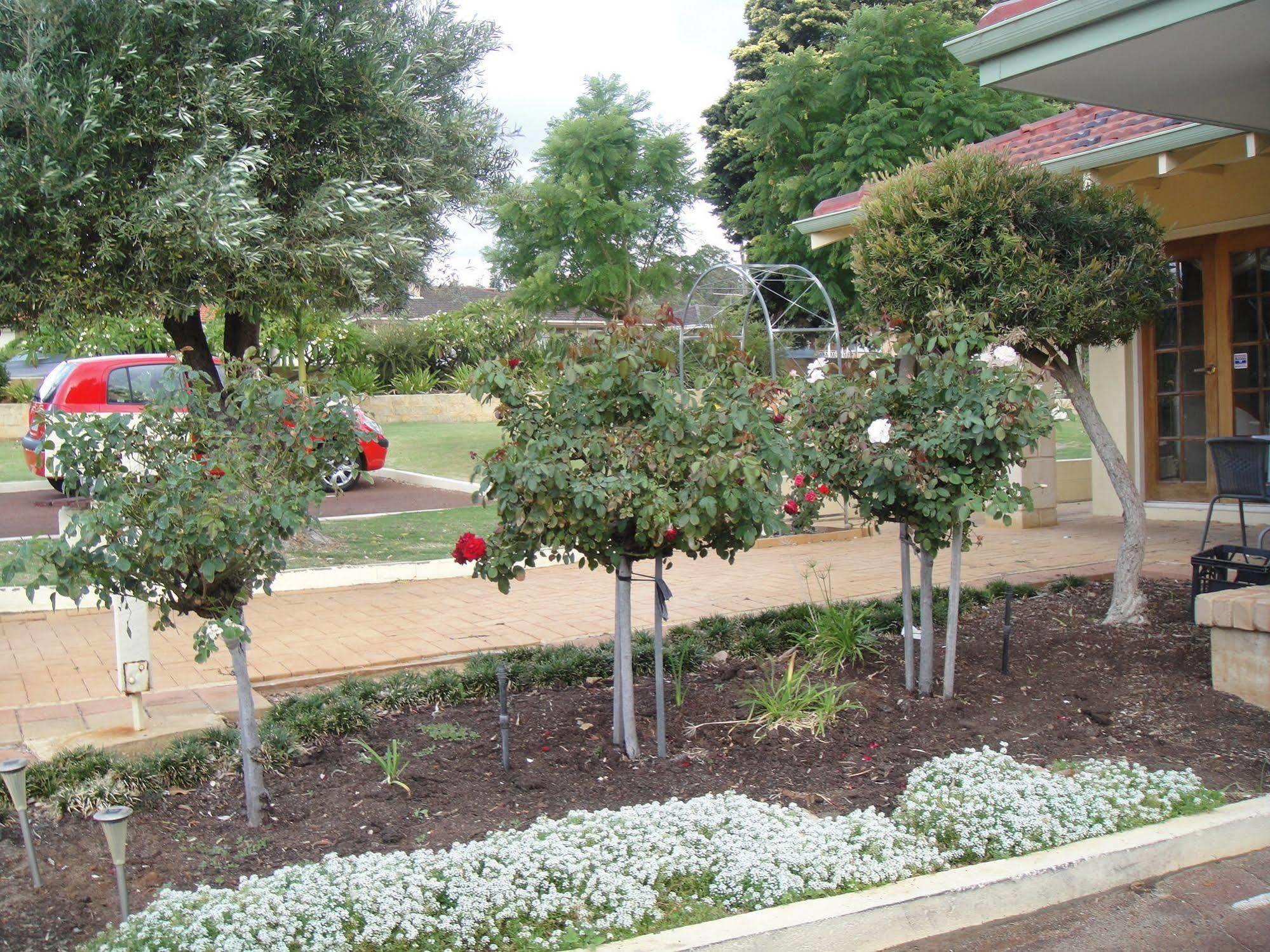 Armadale Cottage Bed & Breakfast Redcliffe Exterior foto